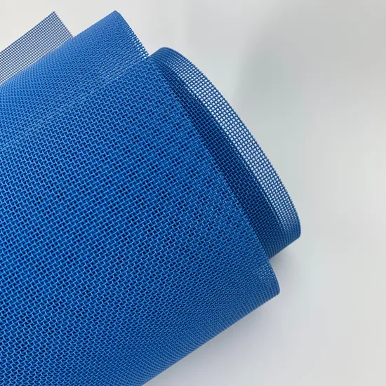 Polyester Square Hole Mesh Belt for Fruit and Vegetable Drying